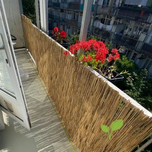 Compatibel met Rafflesia Arnoldi Geschikt Rietmatten balkonscherm | Gratis verzending!